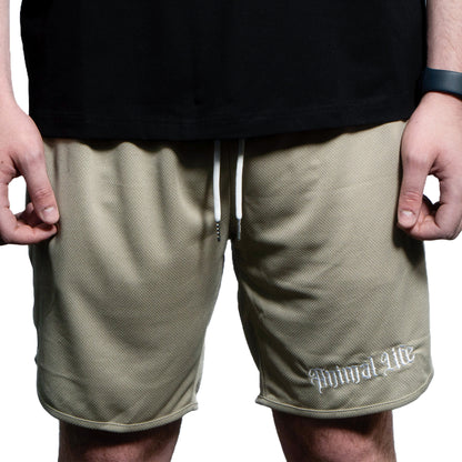 Origin Shorts