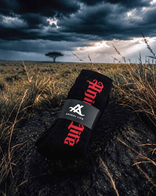Origin Crew Socks 3 Pack