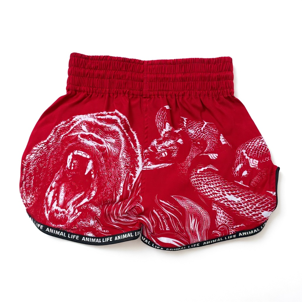 Apex Muay Thai Short